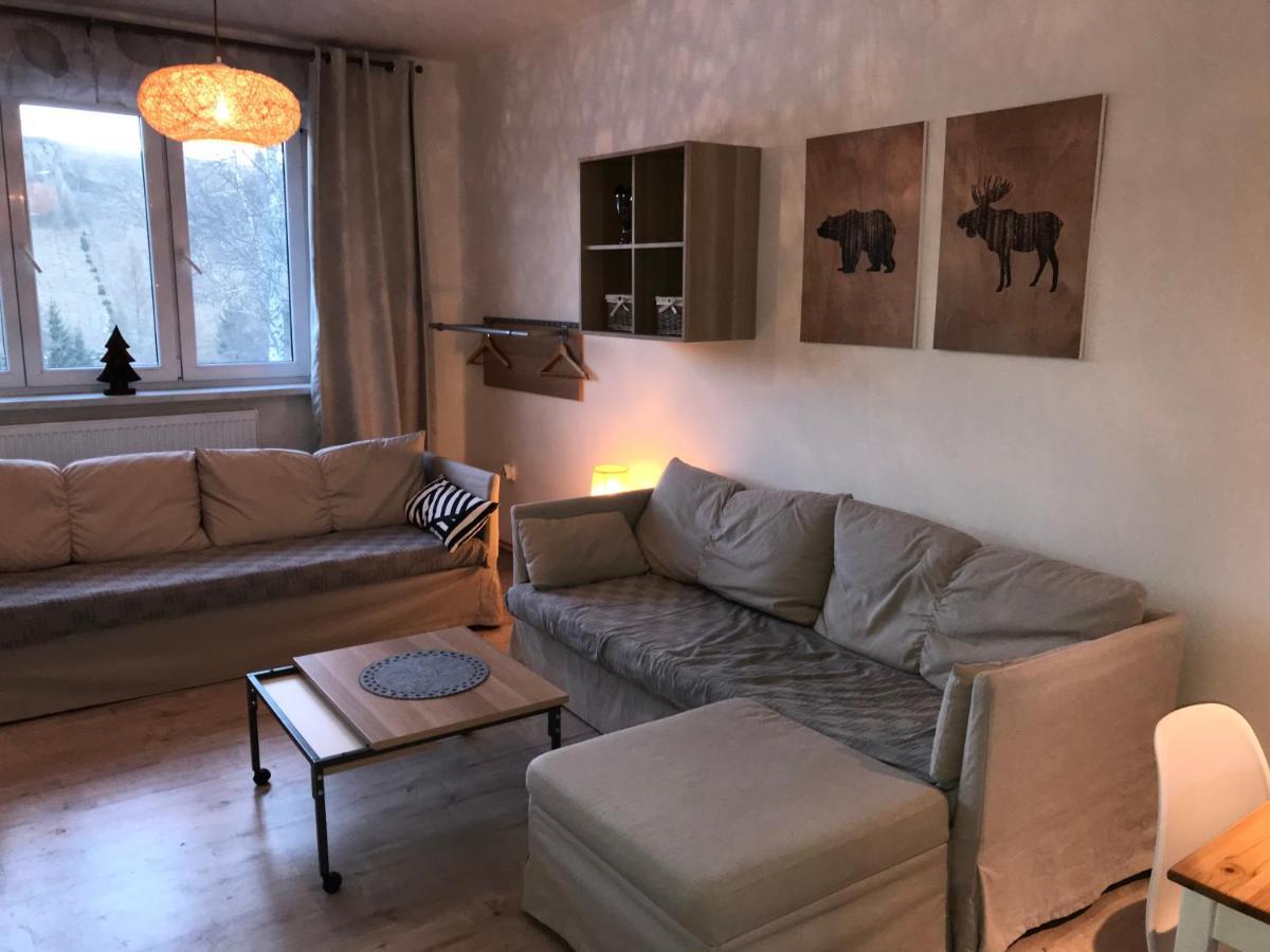 Apartman Orlicke Zahori
