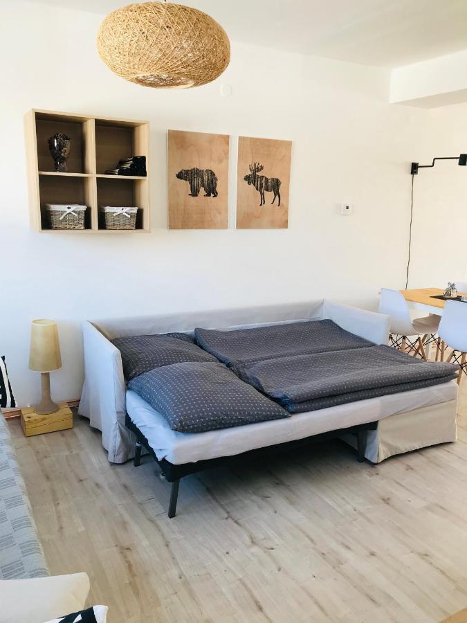 Apartman Orlicke Zahori